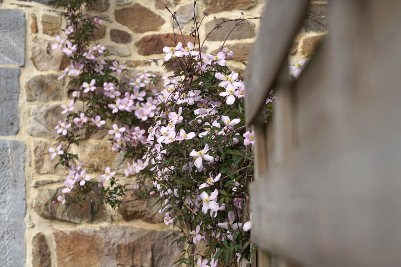 Gite Du Jardin Theux Kültér fotó