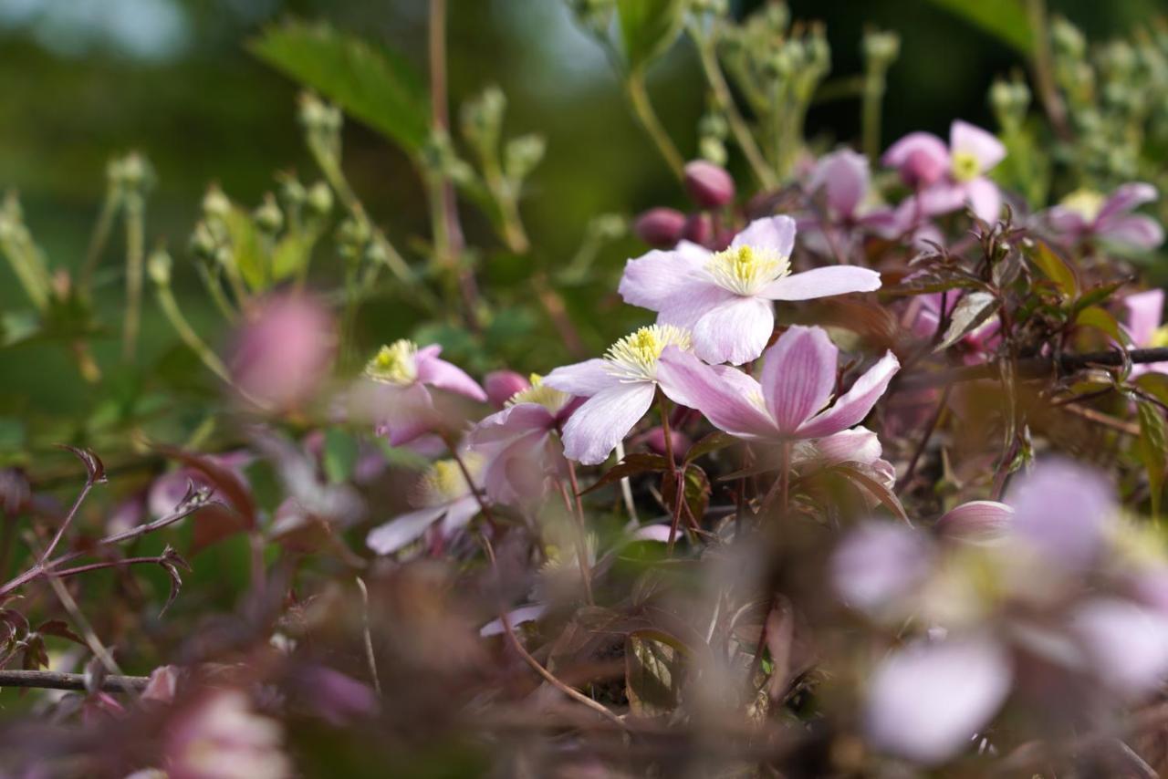 Gite Du Jardin Theux Kültér fotó